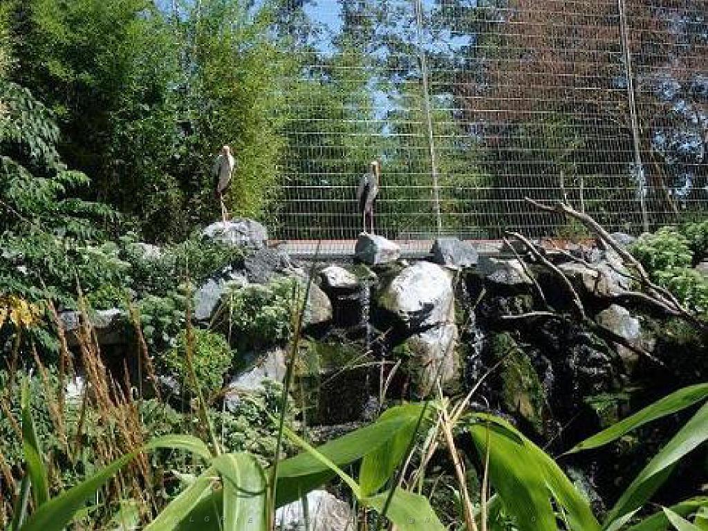 101PARC AUX OISEAUX DANS L AIN 2016 2_000026.jpg